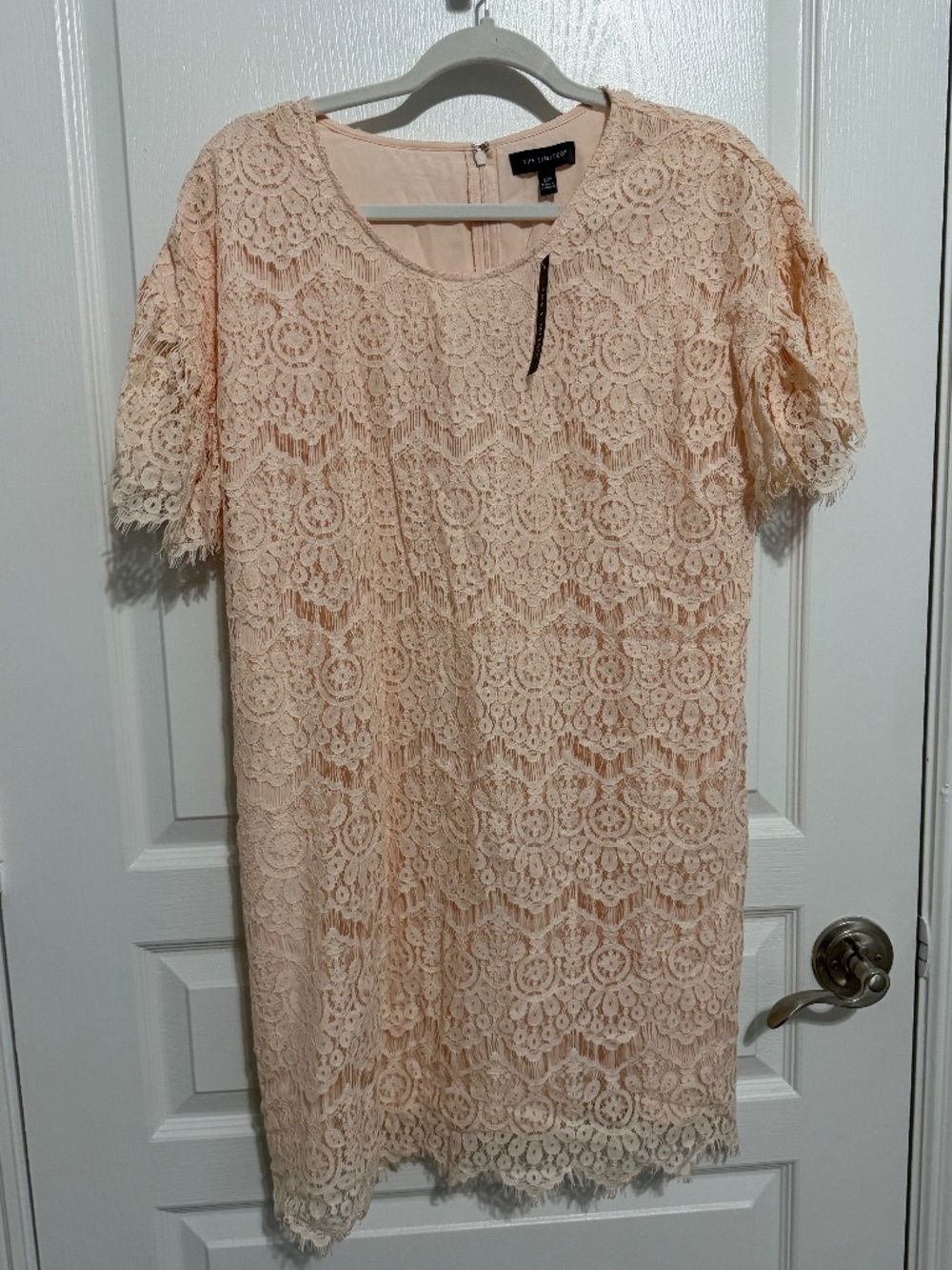 NWT The Limited Peach/Light Pink Lace Short Sleeve Sheath Dress Size 12P
